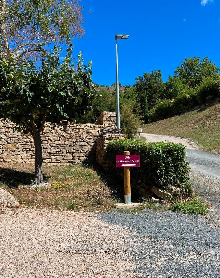 Chambre Au Calme Avec Spa Privatif Gratuit Sud Aveyron Les Palmiers Des Causses Saint-Rome-de-Tarn Exterior foto